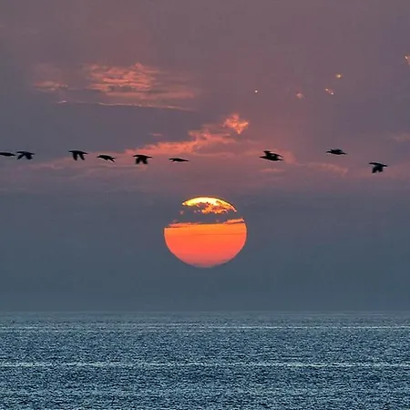 Costa Mar Ii קונסולקאו